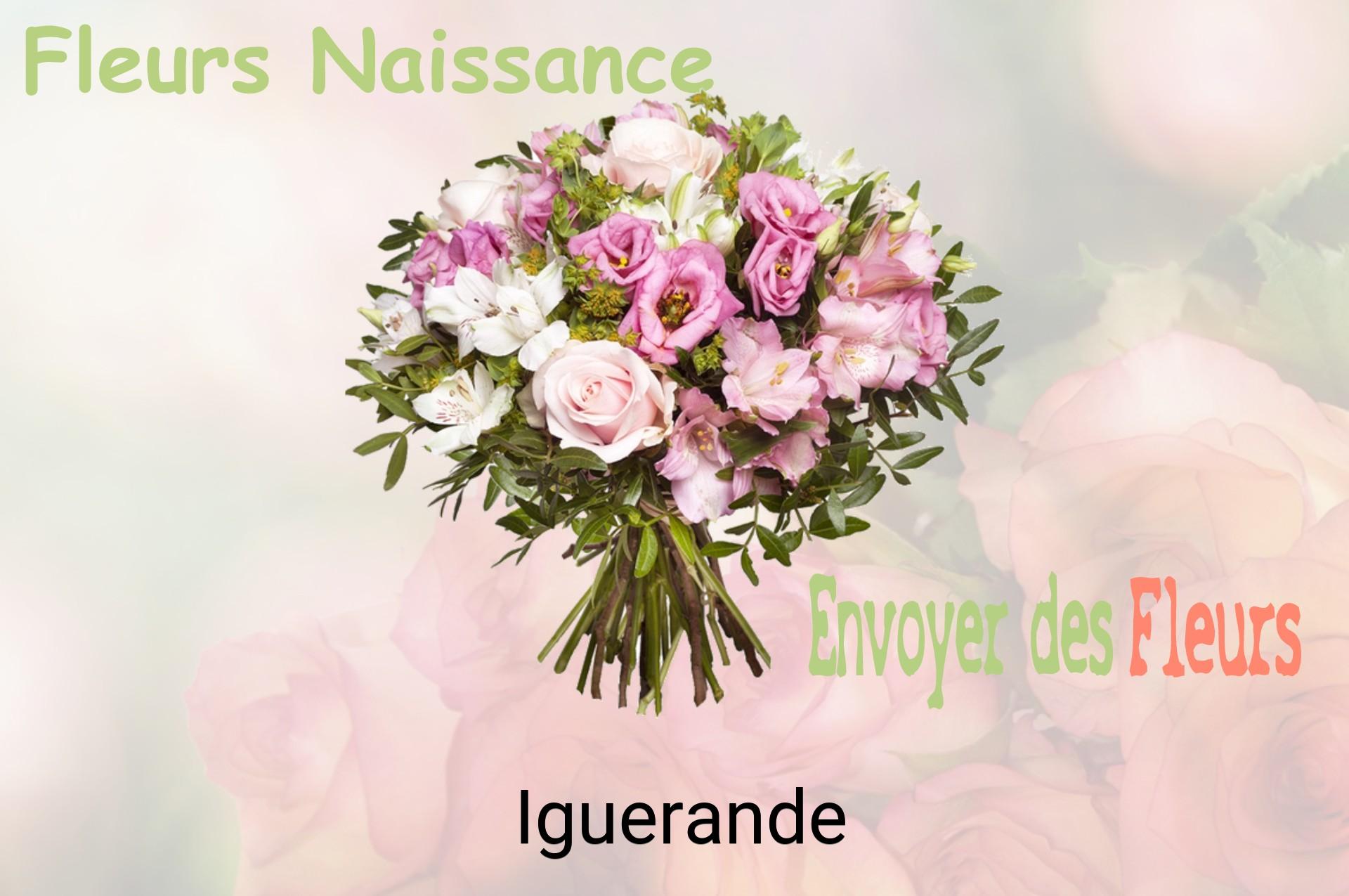 Bouquet de fleurs de naissance livré à Iguerande